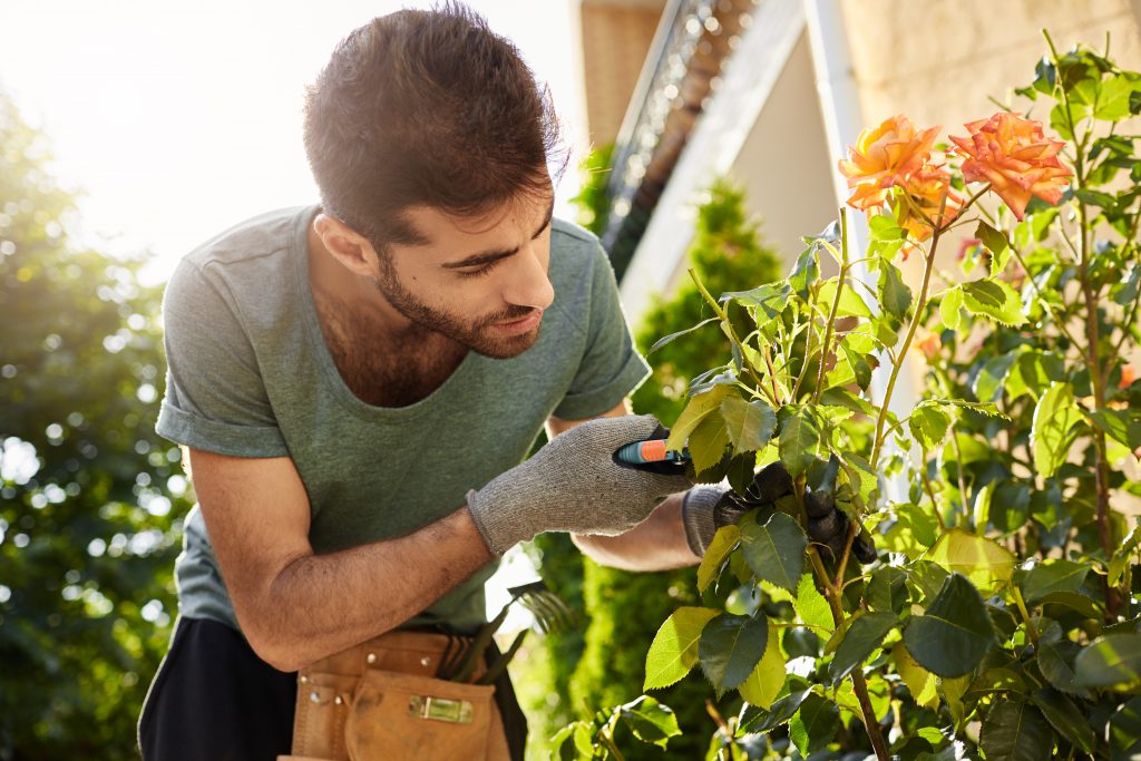 fall gardening