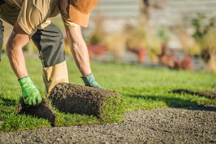 Sod Installation in Aurora Ontario