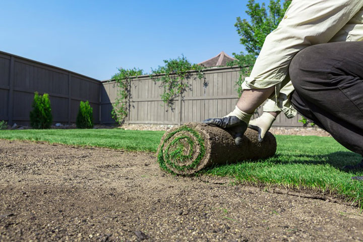 sodding installation in Aurora ON